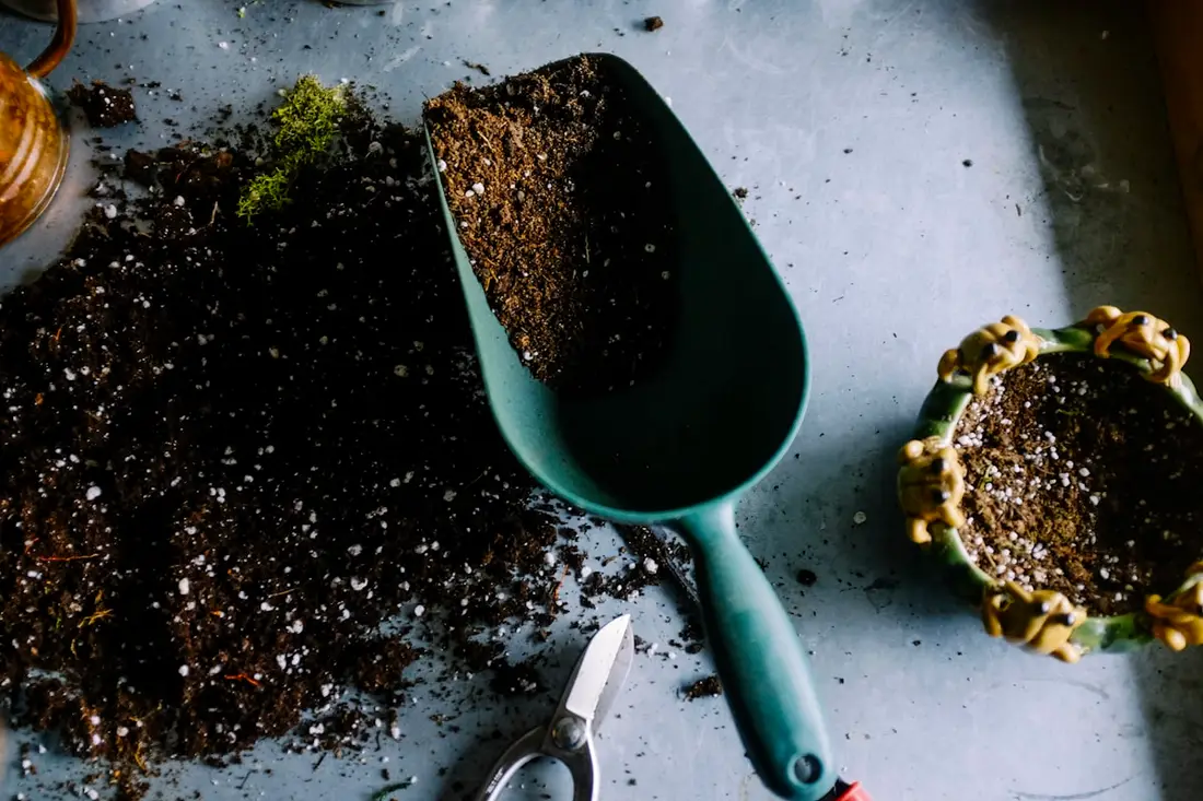 Hands planting a young green seedling, representing environmental stewardship